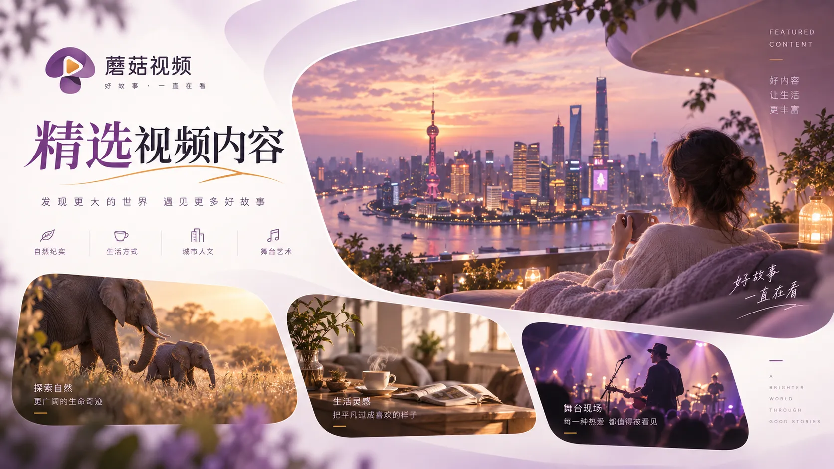蘑菇视频电影与剧集观看主题